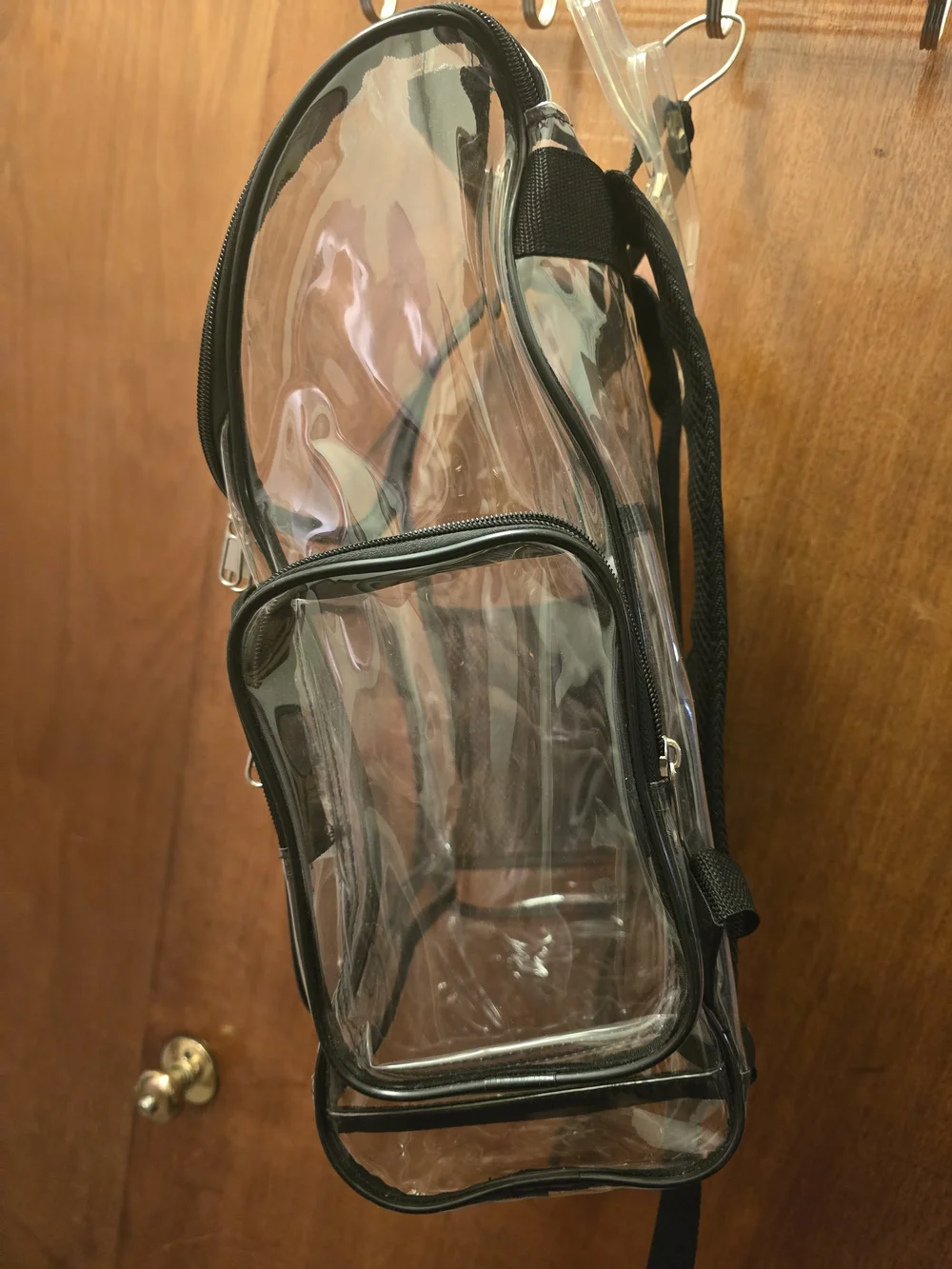 Clear PVC Black-Trim Men's Backpack - Transparent Travel Bag